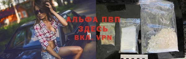 индика Лабытнанги