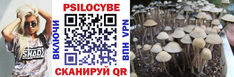 Псилоцибиновые грибы ЛСД  Купить  Змеиногорск 